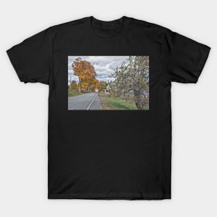 Autumn Traveling T-Shirt